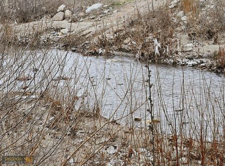 Terzioglu"ndan Havran Köylücede 13 Dönüm Kelepir Zeytinlik