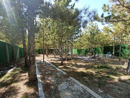 Şehre Yakın Çam Ağaçları İçerisinde Suyu Olan Muhteşem Bahçeler...