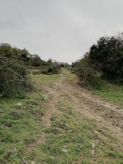 Acıpayam Darıveren Köyünde Acilen Satılık Tarla 6700 Metrekare