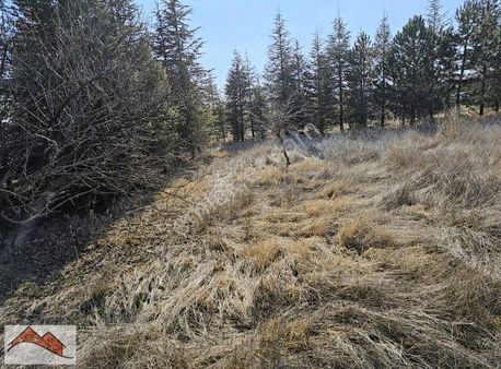 Satılık Arsa Balık Pınar Hacilar Gölbaşı Ankara