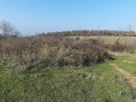 Yalova Çınarcıık Harmanlarda Satılık Dört Kat İmarlı Arsa