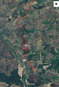 Saim Gencay Gayrimenkulden Gemlik Adliye Mevkii 8.987 M2 Satılık Zeytinlik