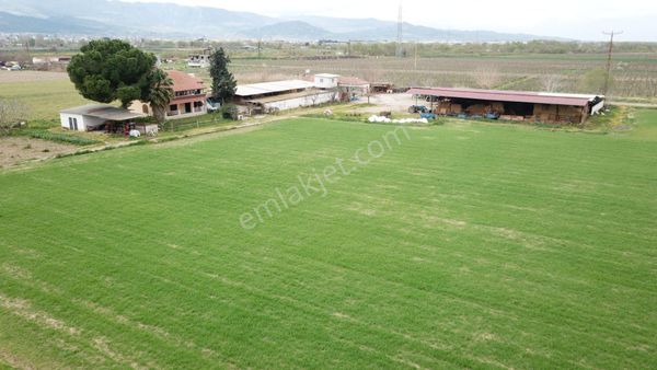 Global Gayrimenkul’den Satılık 111 Dönüm Çiftlik Ve Arazi