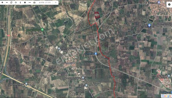 Manisa Akhisar Süleymanlıda Satılık Tarla