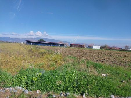 Saygın İnşaat & Gayrimenkulden Bağarasında Hazır Besi Damlı Satılık Çiftlik