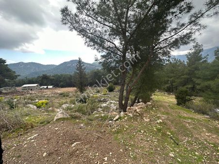 3600 Metre Kare Tek Tapu