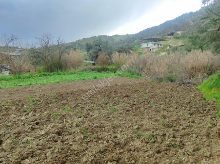 Köy Merkezine Yakın Satılık Bahçe