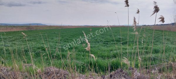 Rose Emlak'tan Satılık Gerenköy'de Arazi