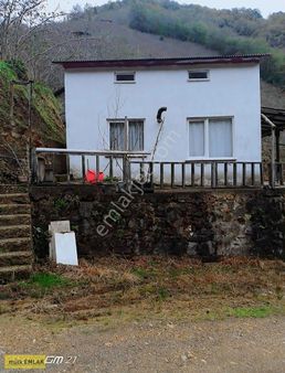 2 Katlı Ev Mandıralık Samanlık Ve 5 Dönüm Fındık Bahçesi Ücü Bi