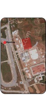 Nuray Ayhan'dan Satılık Tarla