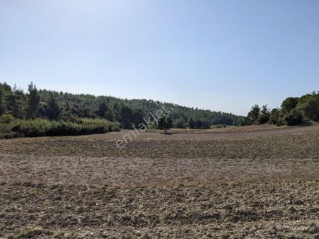 Karaömerli'de Tek Tapu Yolu Hazır Tarla
