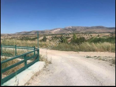 Akçadağ Altunlu Sahil Köyü'nde Satılık Bahçe