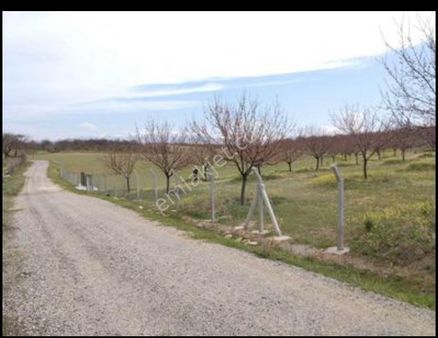 Dönümfiy Attıdır Yeşilyurt Bindal'da Satılık Bahçe