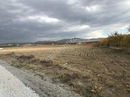 Battalgazi Bulgurlu'da Satılık Tarla