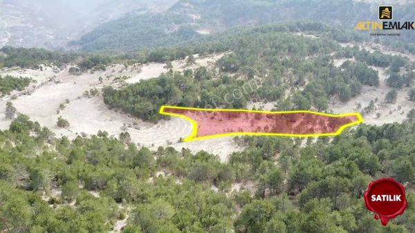 Bolu Mudurnu Dereköy Satılık Yatırımlık Tarla