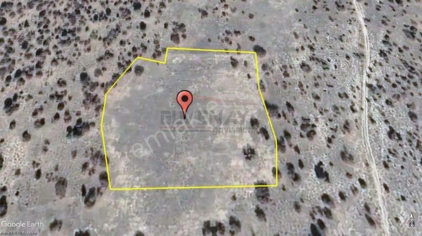 Eskişehir Alpu Büğdüz 10 Dönüm Düz Satılık Tarla