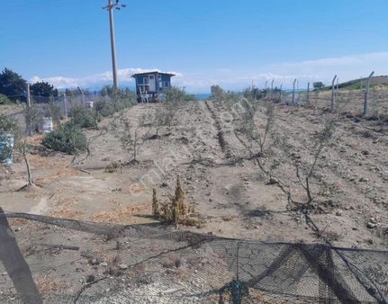 Gms Emlak'tan Karataş'ta Satılık Eşsiz Konumda 680m² Hobi Bahçesi