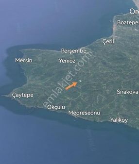 Perşembe/ortatepe'de 3.134 M2 Fındık Bahçesi