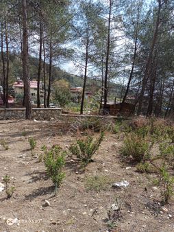 Hcl'den Mezitli/kaleburnuda Satılık 1617 M² İmarlı Arsası