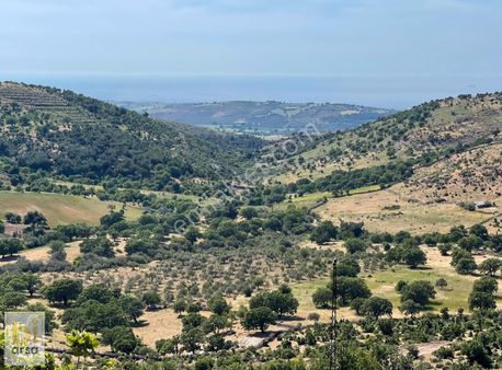 Ayvacık Naldöken'de 9.243 M2 Köykenarı Turizm İmarlı Arsa !!!