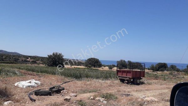Kıbrıs Mersinlik'te Sahile Yakın Yatırımlık Arsa Investment Land