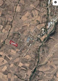 Kırklareli Üsküpte Yerleşime Yakın Tarla