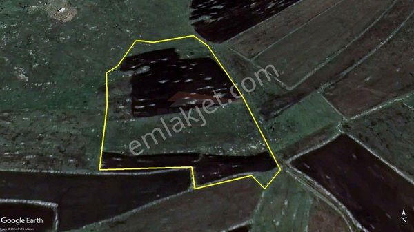 Ardahan Bayramoğlu 14,5 Dönüm Acil Satılık Tarla