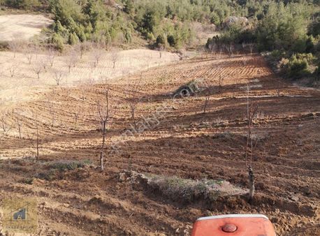 Kadastro Yolu Mevcut 3.400 M² Kirazlık