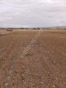 Güvenay - Çorum Şeker Ve Cemilbey Arası 8,5 Dönüm Satılık Tarla