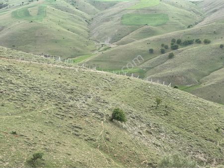 Yakupabdal 102 Ada 53 Parsel 250 M2 Hisse Etrafında Hobi Bahçeler Vardır