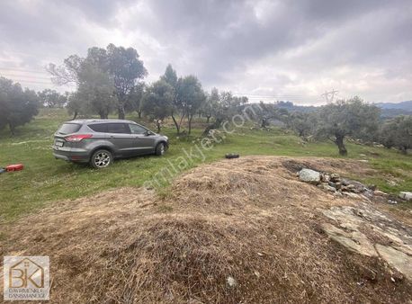 İzmir Selçuk'ta Deniz Ve Şehir Manzaralı 5.706 M2 Satılık Bahçe