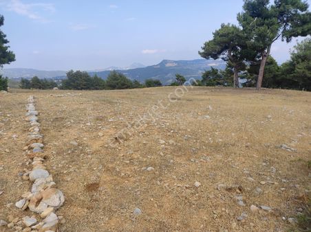 Çamlıyayla / Sebil'in Üstünde Hakim Konumda Satılık Arsa