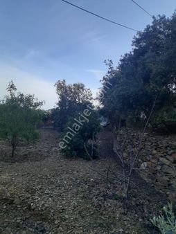 Denize Yakın Yatırımlık Tek Tapu