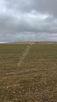 Malatya Darende İlçesi Yazıköy Mahallesinde Yatırımlık Arazi