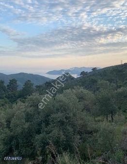 Ful Deniz Manzaralı Arazi