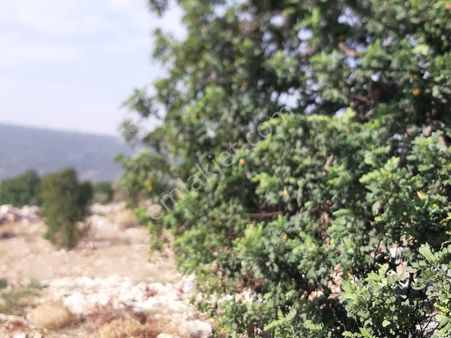 Villalık Veya Yatırımlık Güzel Konumda