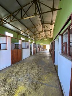 Manisa Salihli Tekelioglu Mahallesinde 14590m² At Çiftliği Satılık