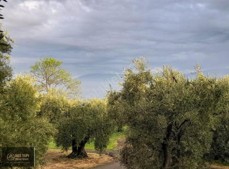Balıkesir Bandırma Edincik De Deniz Manzaralı Yerimiz