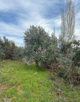 Aşağı Karaman Sanayi Yolunda