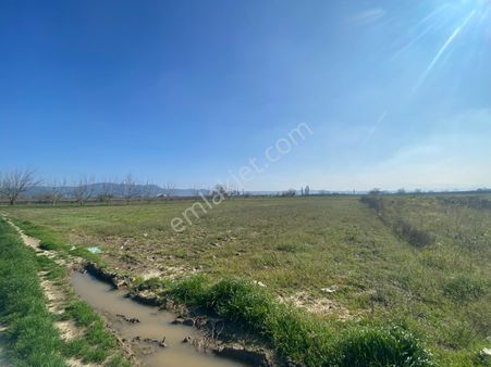 Bursa Mustafakemalpaşa Orta Mh. 2777 M2 Tarla