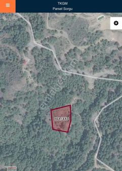 Antalya Gazipaşa Çamlıca Köy Satılık Tarlamız…