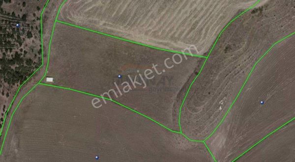 Güvenay - Çorum Bayat Gediği Hayat Şırınga Arkası 6 Dönüm Satılık Tarla