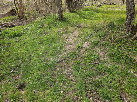 Satlık Fındık Bahçesi