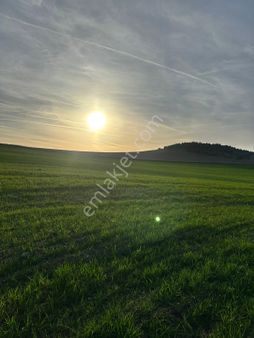 M-946 Karabayırda Satılık Tarla