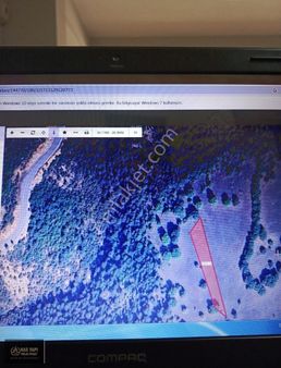 Kütahya Tavşanlı Elmaağaçi Köyünde Yatırımlık Fırsat Arazimiz