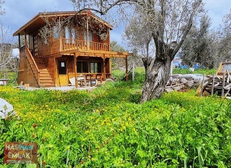 Çanakkale Ayvacık Bahçedere Köyü Ahşap Ev Olan Zeytinlik