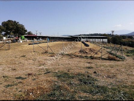 Çanakkale Bayramiç Bıyıklı Köyü Satılık Çiftlik