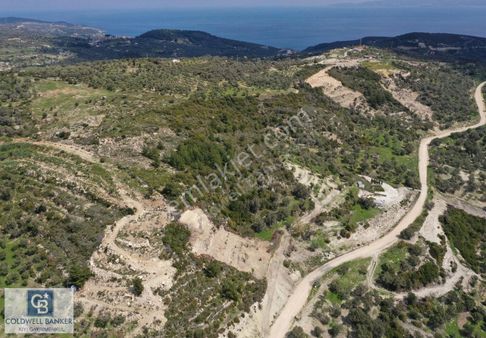Karaburun Eğlenhoca Gölet Yolunda Resmi Yola Cepheli Tarla