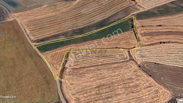 Güvenay - Çorum İskilip Yolu Deliler Köyü Üstü 13 Dönüm Satılık Tarla