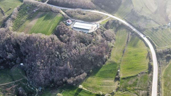 Remax Palas'tan Yatırımlık Tarla